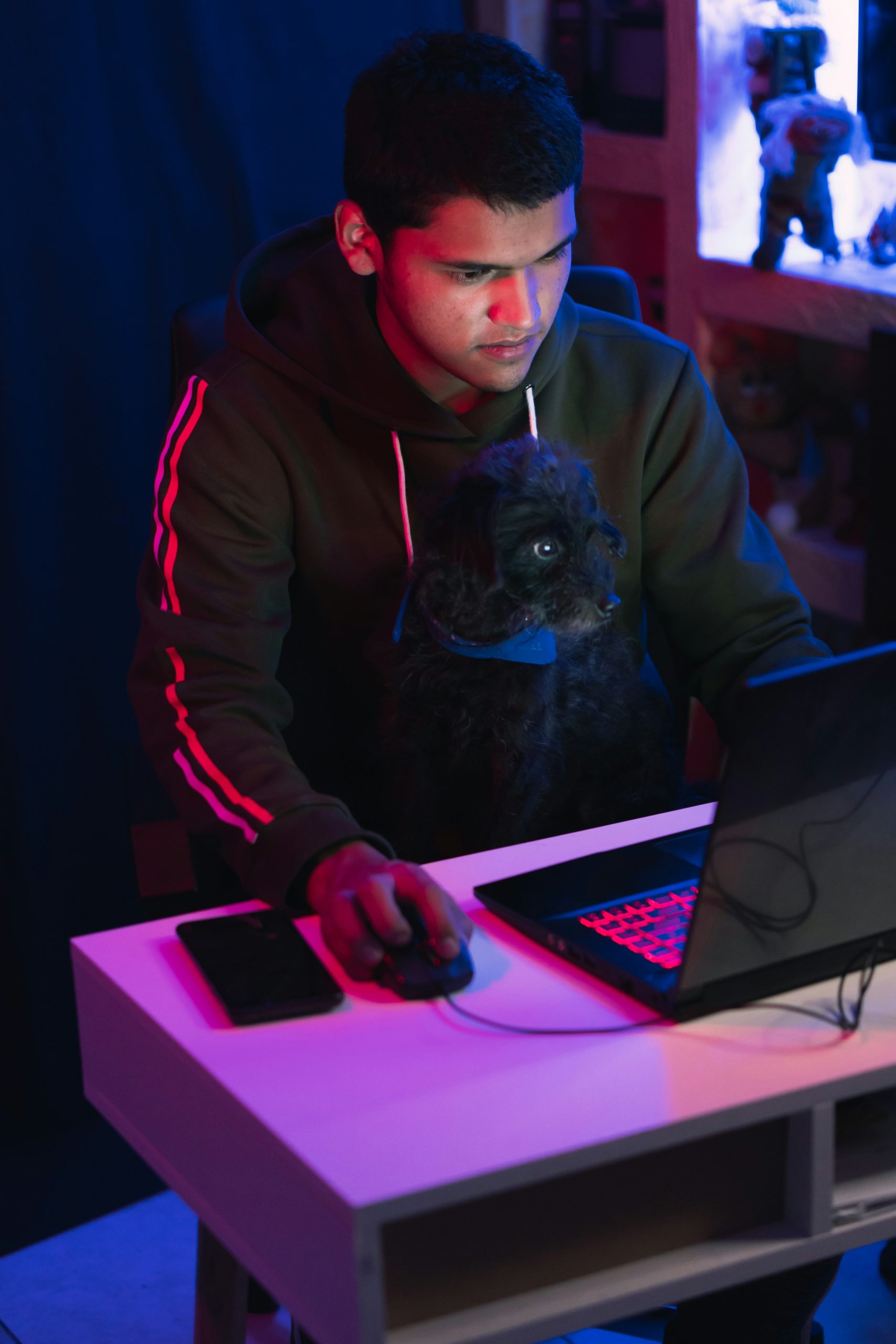 Configuring the Emulator